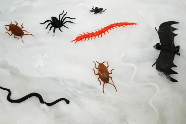Meerdere Plastic speelgoed Bugs in een spinnenweb — Stockfoto