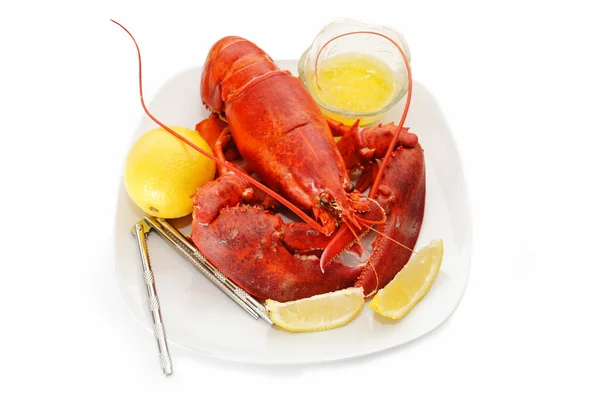 Manger un homard biologique frais avec du citron et du beurre fondu — Photo