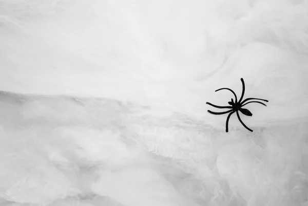 Toy zwarte Spider Over een witte riem met kopie ruimte — Stockfoto