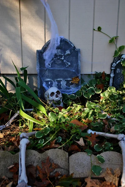 Esqueleto Halloween Decorações em um jardim — Fotografia de Stock