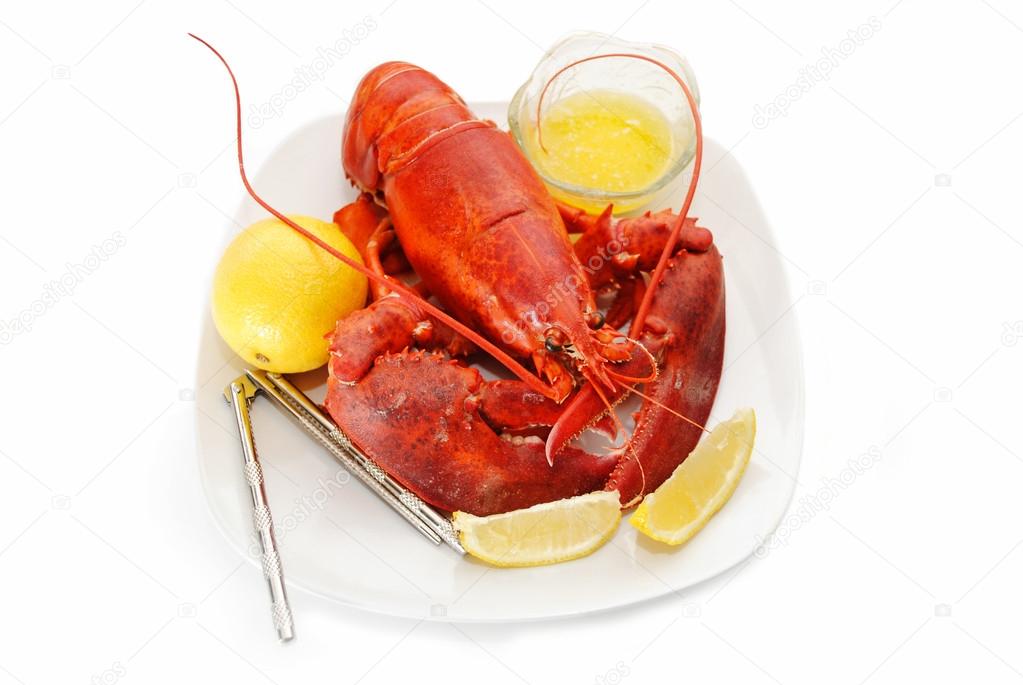Eating a Fresh Organic Lobster with Lemon and Melted Butter