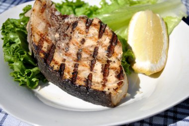 somon ızgara