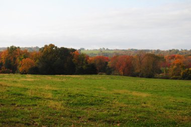 Çimenli ülke alanı mesafe sonbahar yaprakları ile