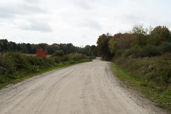 いくつかの秋の紅葉と国の未舗装の道路 — ストック写真