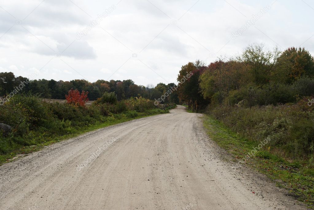 A Country Dirt Road with Some Fall Foliage
