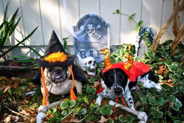 Kemikleri kazma Halloween yakalandı