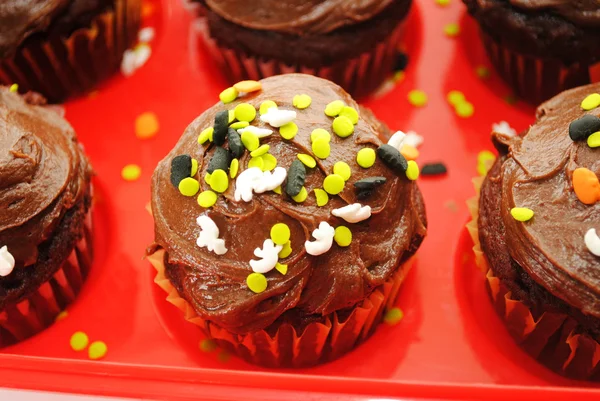 Halloween Cupcakes és hinti egy piros konténer — Stock Fotó