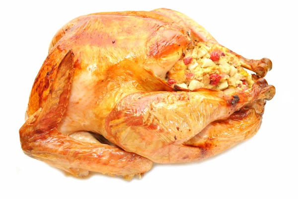 Appetizing Roasted Turkey Stuffed with Cranberry Bread Dressing — Stok Foto