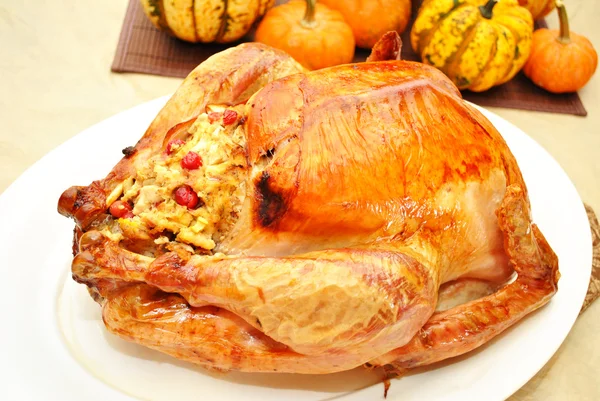 Festive Fall Turkey with Pumpkins in the Background — Stock Photo, Image