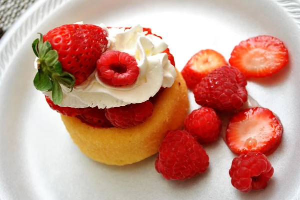 Gezonde Berry Shortcake — Stockfoto