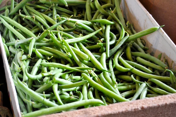 Market Green Beans — Stock Photo, Image