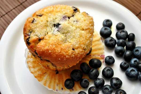 Blueberries dengan Muffin Blueberry Segar — Stok Foto