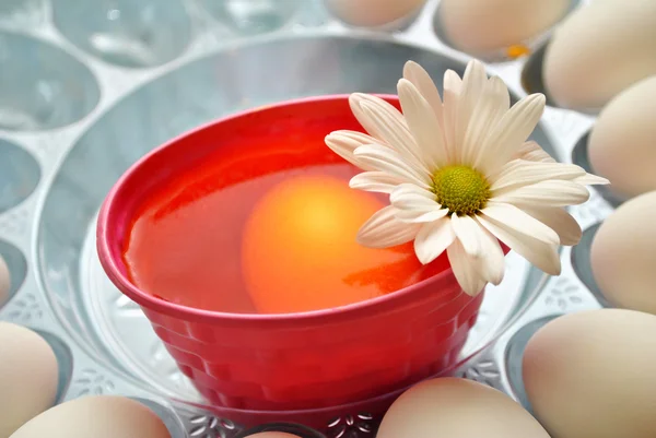 Colorear Naranja Huevos de Pascua — Foto de Stock