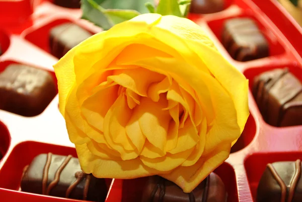 Rose jaune sur une boîte de bonbons — Photo