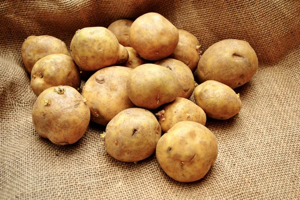 Batatas inteiras frescas cruas — Fotografia de Stock