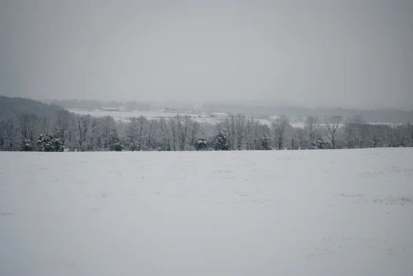 Country Scenicview During a Blizzard in New England — Stock Photo, Image