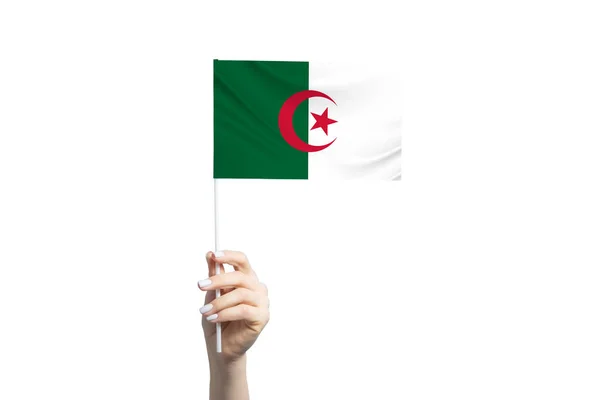 Hermosa Mano Femenina Sosteniendo Bandera Argelia Aislada Sobre Fondo Blanco — Foto de Stock