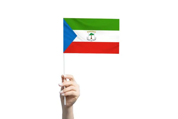 Piękna Ręka Trzyma Flagę Gwinei Równikowej Odizolowany Białym Tle — Zdjęcie stockowe