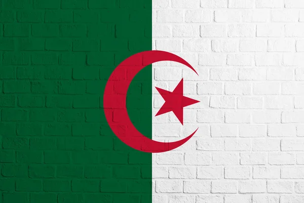 アルジェリアの国旗 アルジェリアの国旗のレンガの壁の質感 — ストック写真