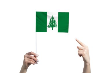 Güzel bir kadın eli, beyaz arka planda izole edilmiş diğer elinin parmağını gösterdiği Norfolk Adası bayrağını tutuyor..