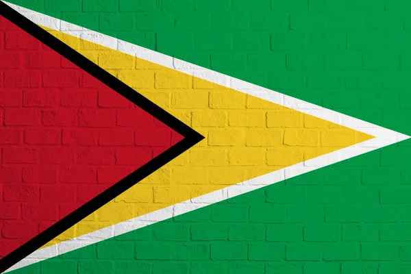 Флаг Гайаны Кирпичная Настенная Текстура Флага Гайаны — стоковое фото