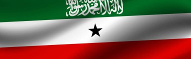 Somaliland bayrağı taşıyan pankart. Somaliland bayrağının kumaş dokusu.