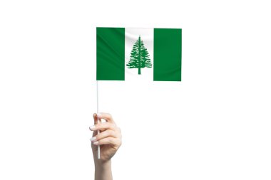 Beyaz arka planda izole edilmiş Norfolk adası bayrağını tutan güzel bir kadın el..