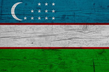 Özbekistan bayrağı. Özbekistan bayrağının ahşap dokusu.