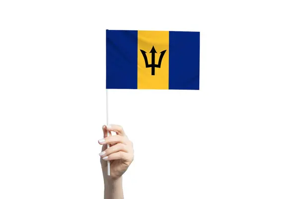 Mooie Vrouwelijke Hand Met Barbados Vlag Geïsoleerd Witte Achtergrond — Stockfoto