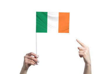 Güzel bir kadın eli, beyaz arka planda izole edilmiş diğer elinin parmağını gösterdiği bir İrlanda bayrağını tutuyor..