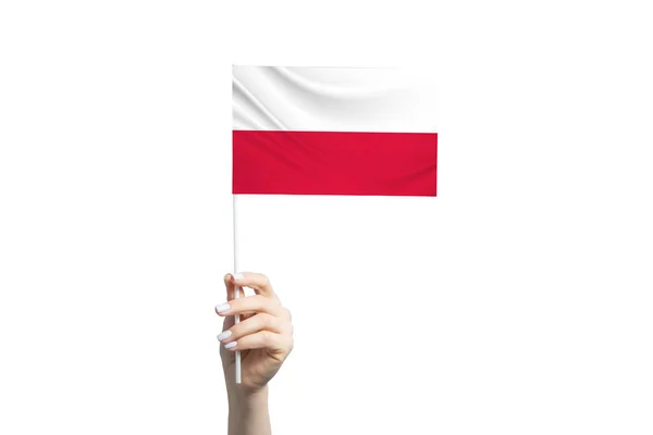 Hermosa Mano Femenina Sosteniendo Bandera Polonia Aislada Sobre Fondo Blanco —  Fotos de Stock