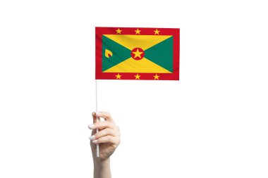 Grenada bayrağını tutan güzel bir kadın el, beyaz arka planda izole edilmiş..