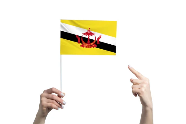 Beautiful Female Hand Holds Brunei Flag Which She Shows Finger — Stock Photo, Image