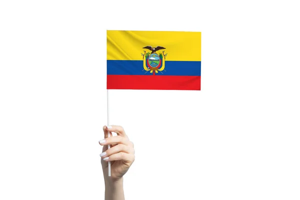 Bela Mão Feminina Segurando Bandeira Equador Isolada Fundo Branco — Fotografia de Stock