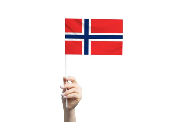 Bela Mão Feminina Segurando Bandeira Noruega Isolada Fundo Branco — Fotografia de Stock