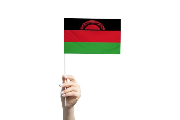 Vacker Kvinnlig Hand Håller Malawi Flagga Isolerad Vit Bakgrund — Stockfoto