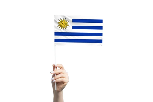 Vacker Kvinnlig Hand Håller Uruguay Flagga Isolerad Vit Bakgrund — Stockfoto