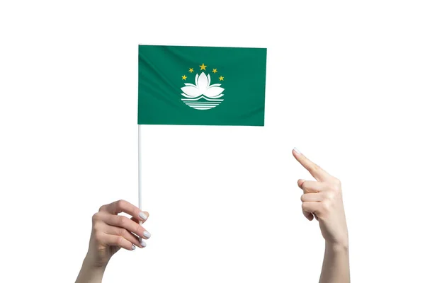 Een Mooie Vrouwelijke Hand Houdt Een Macau Vlag Vast Waaraan — Stockfoto