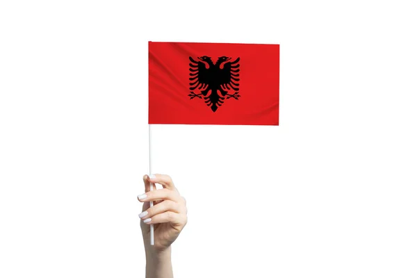 Hermosa Mano Femenina Sosteniendo Bandera Albania Aislada Sobre Fondo Blanco — Foto de Stock