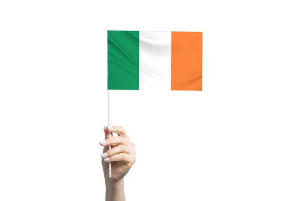 Beautiful Female Hand Holding Ireland Flag Isolated White Background — Fotografia de Stock