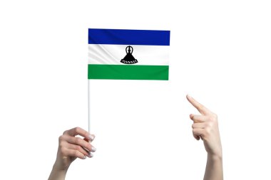 A beautiful female hand holds a Lesotho flag to which she shows the finger of her other hand, isolated on white background.
