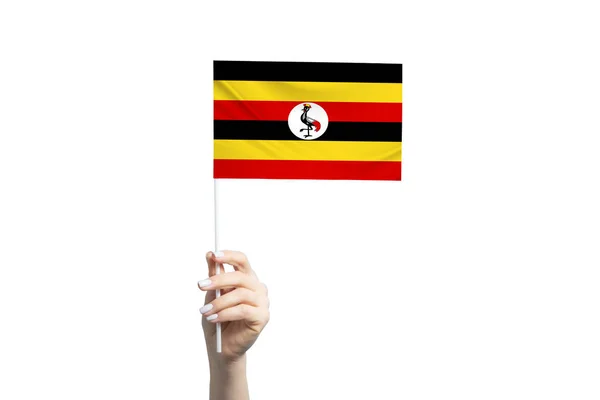 Beautiful Female Hand Holding Uganda Flag Isolated White Background — Stock Fotó