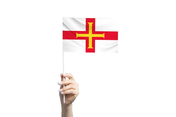 Beautiful Female Hand Holding Guernsey Flag Isolated White Background —  Fotos de Stock