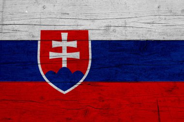 Slovakya bayrağı. Slovakya bayrağının ahşap dokusu.