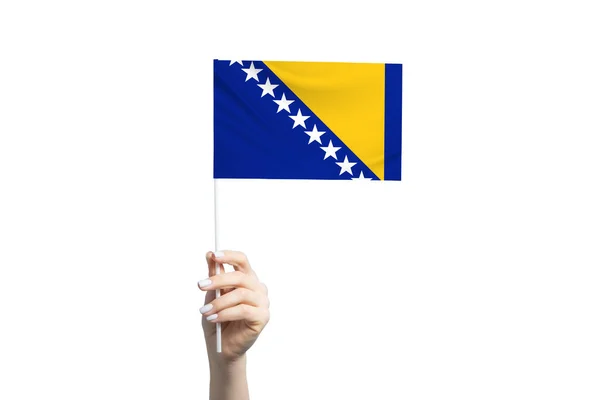 Hermosa Mano Femenina Sosteniendo Bandera Bosnia Herzegovina Aislada Sobre Fondo — Foto de Stock