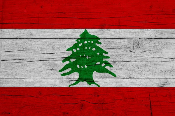 레바논의 레바논의 국기의 — 스톡 사진