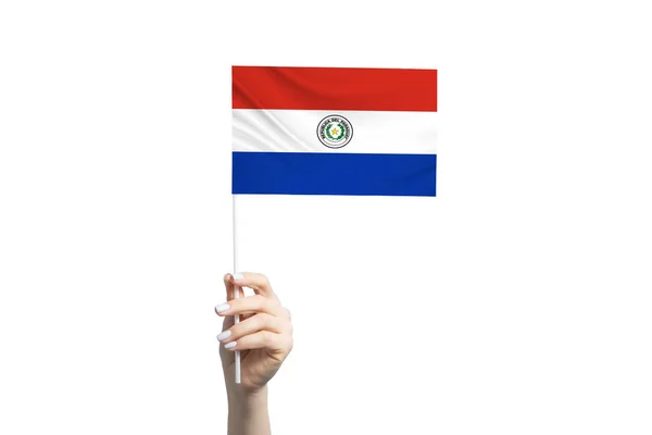 Piękna Ręka Trzymająca Flagę Paragwaju Odizolowana Białym Tle — Zdjęcie stockowe