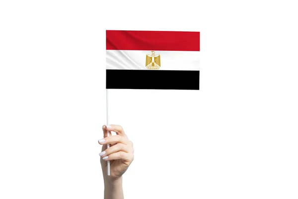 Vacker Kvinnlig Hand Håller Egypten Flagga Isolerad Vit Bakgrund — Stockfoto