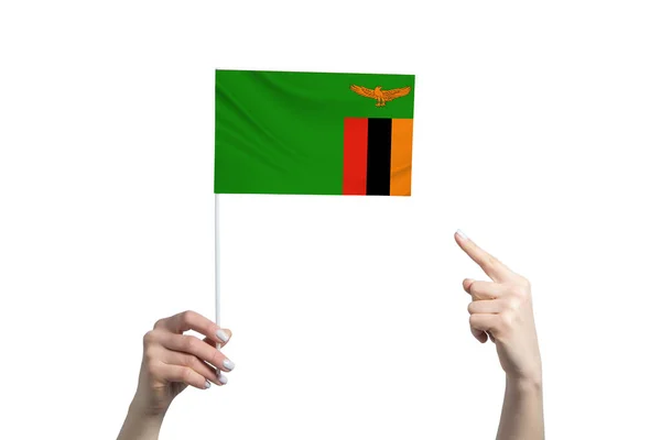 美しい女性の手は 白い背景に隔離された彼女の一方の指を示すザンビアの旗を保持しています — ストック写真