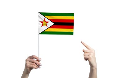 Güzel bir kadın eli bir Zimbabwe bayrağı tutuyor ve diğer elinin beyaz arka planda izole edilmiş parmağını gösteriyor..